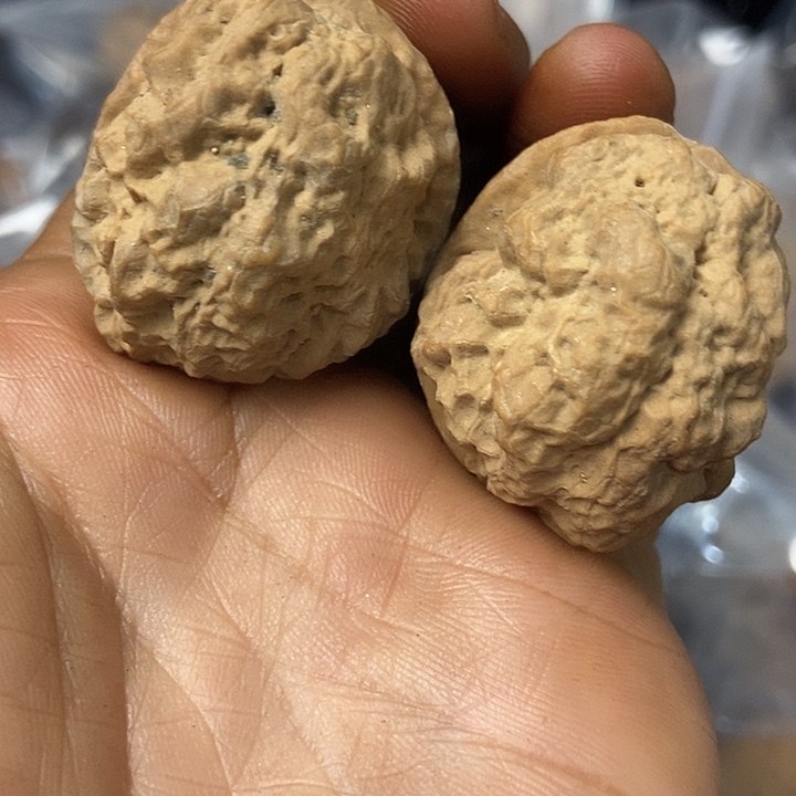 把件文玩核桃云南铁核桃基地6
