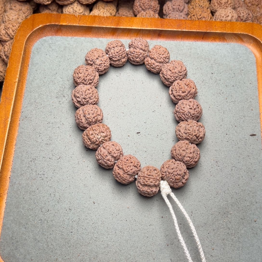 菩提10号金刚菩提龙骨梅花19