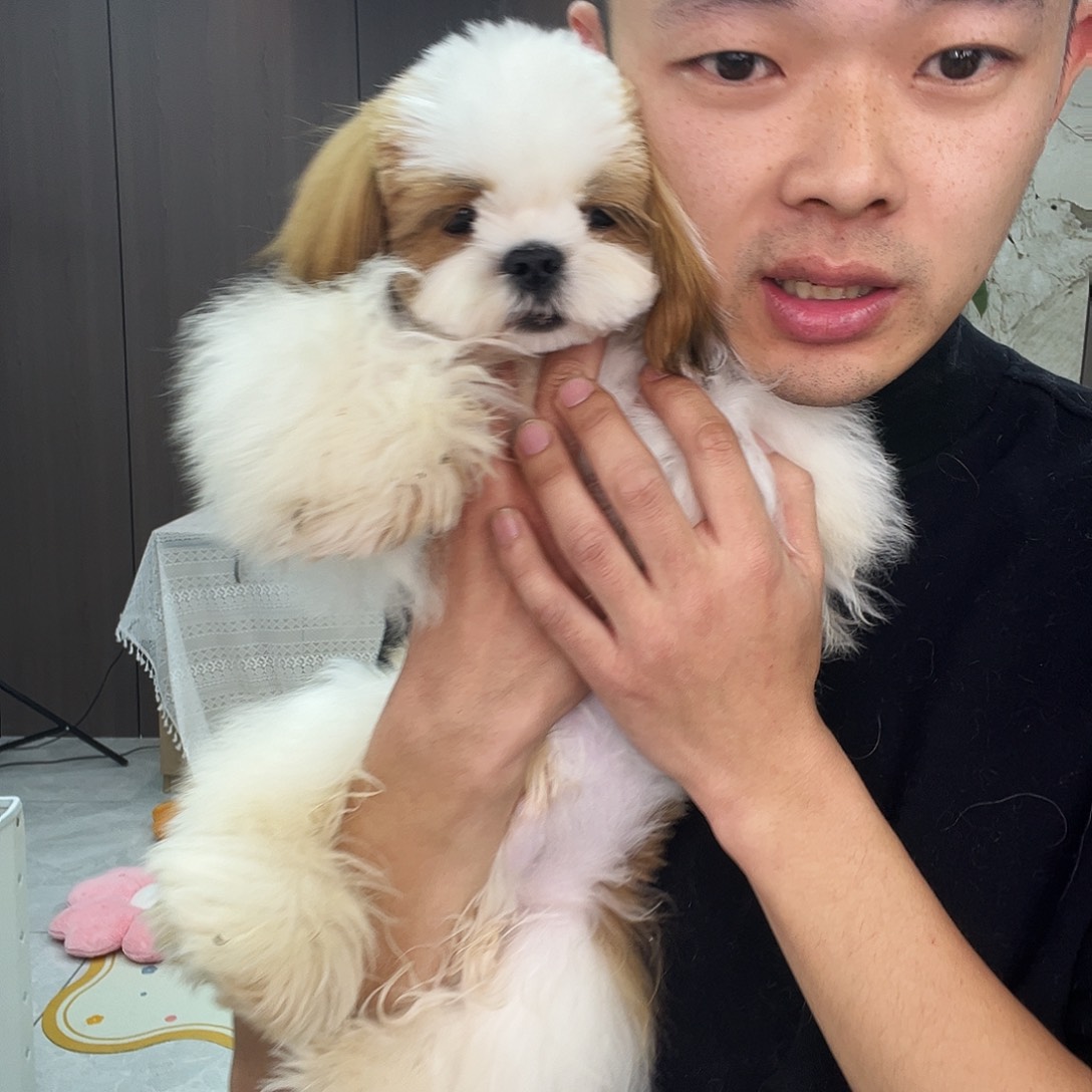 小体偏小弟弟6月龄