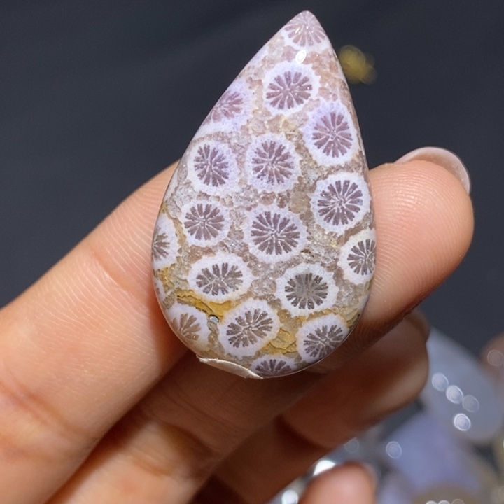 【闪购商品】未镶嵌珊瑚玉硅化玉