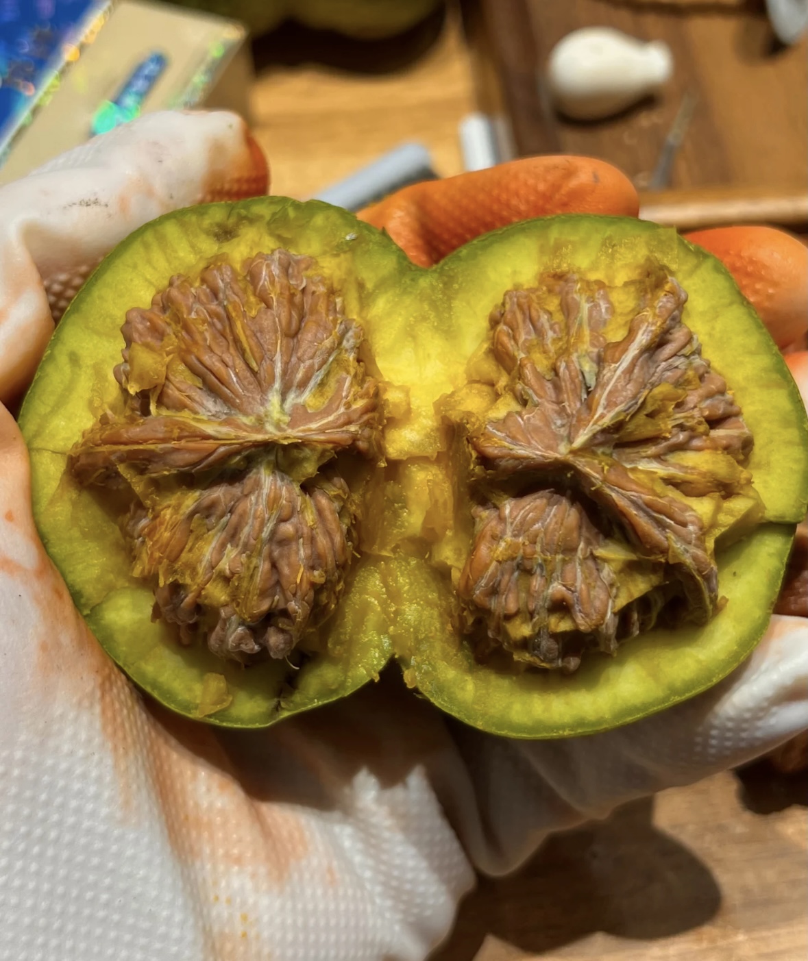 白狮子三棱连体编号15232915130