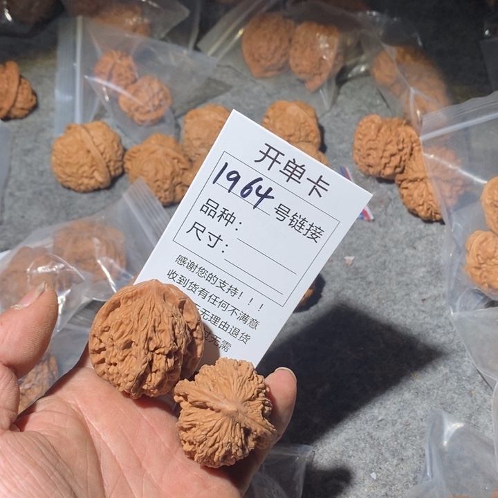 文玩核桃把件轩**鹤1964号来咯摸摸哦