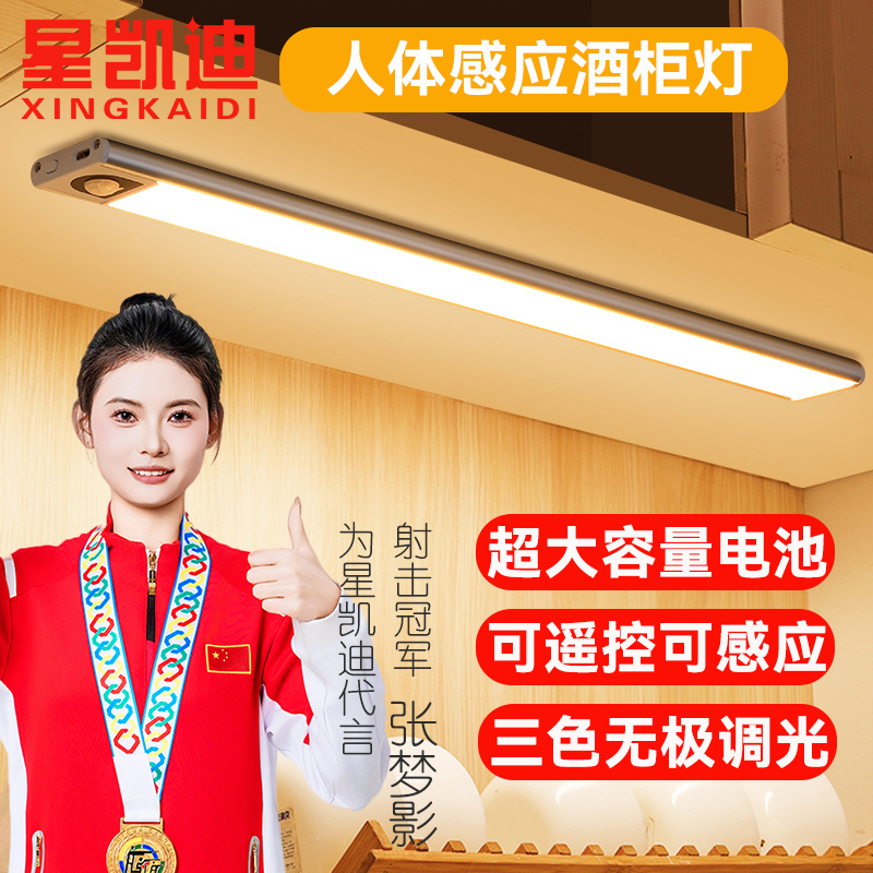 【感应模式可用3-4个月】超长续航充电人体感应灯条玄关酒柜衣柜灯