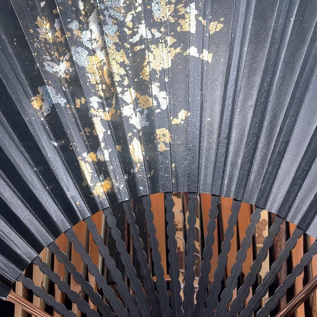 扇子爆炸金龙鳞棕竹