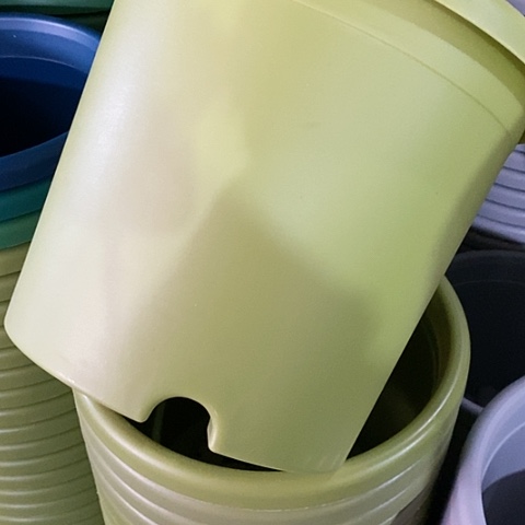 树脂四季4#带托果绿3套