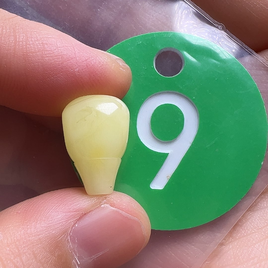 蜜蜡未镶嵌珠宝奇石一****饼9.8m m