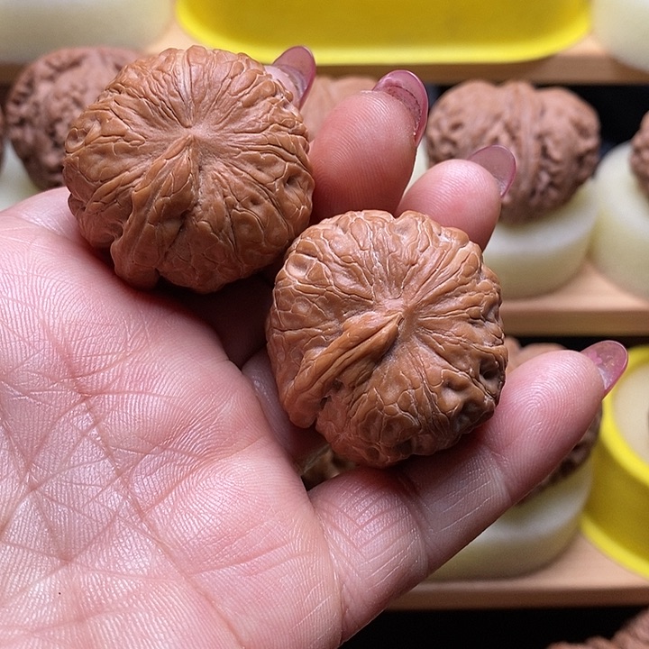 抢吧抢吧抢吧抢吧抢吧抢吧