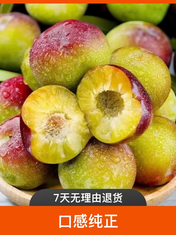 云南绥江半边红李子清脆爽口现摘现发