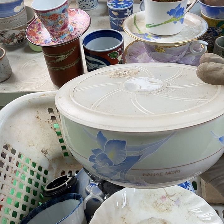 碟开播啦…开播啦