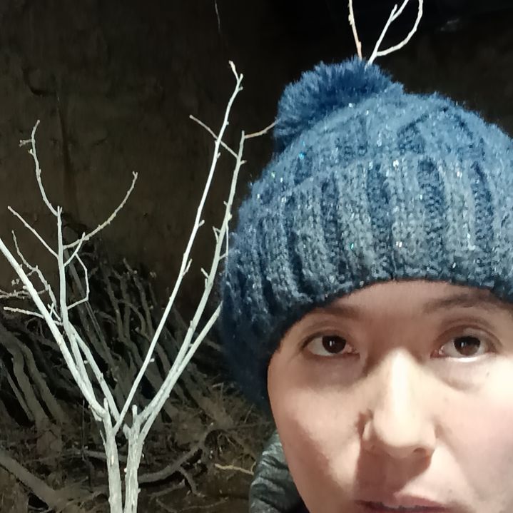 金***秋完全开放文冠树一颗