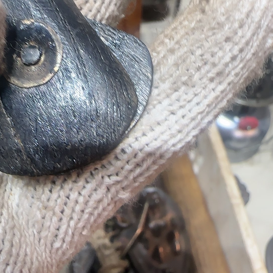 因***见一物一图看好在拍