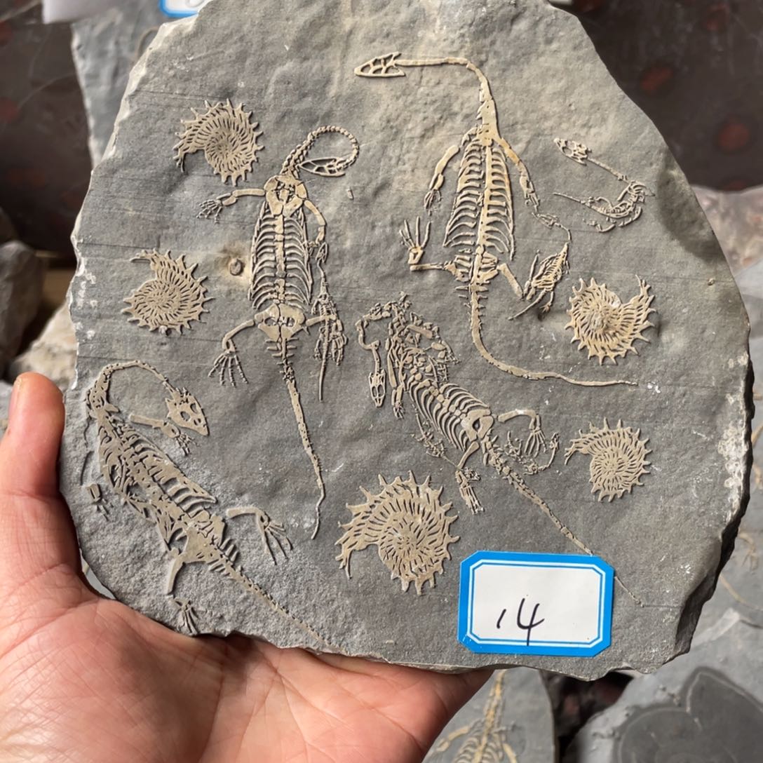 石材144444444444444444