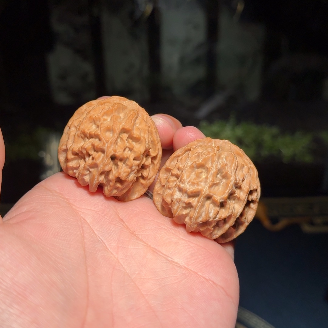 261号40苹果园苹果园苹果园