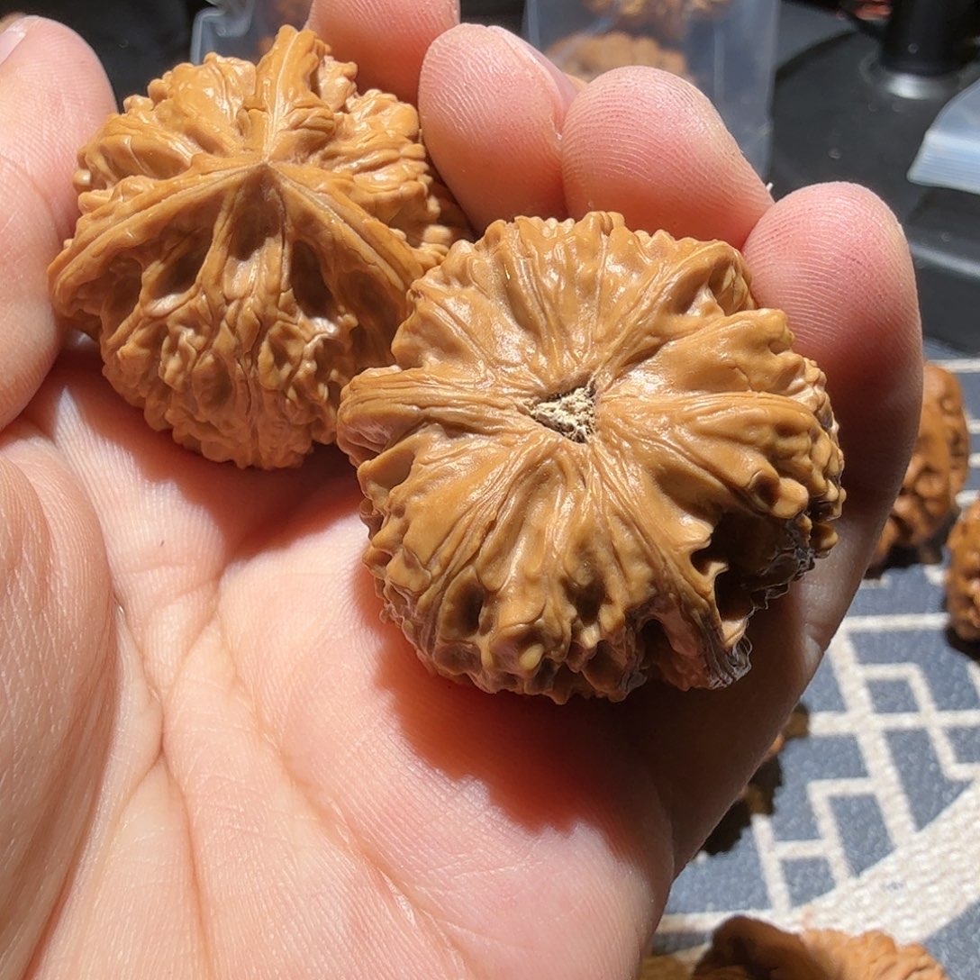 文玩核桃把件御龙正奔