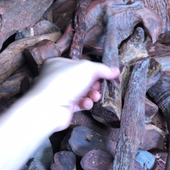 手串/手链黄花梨/降香黄檀