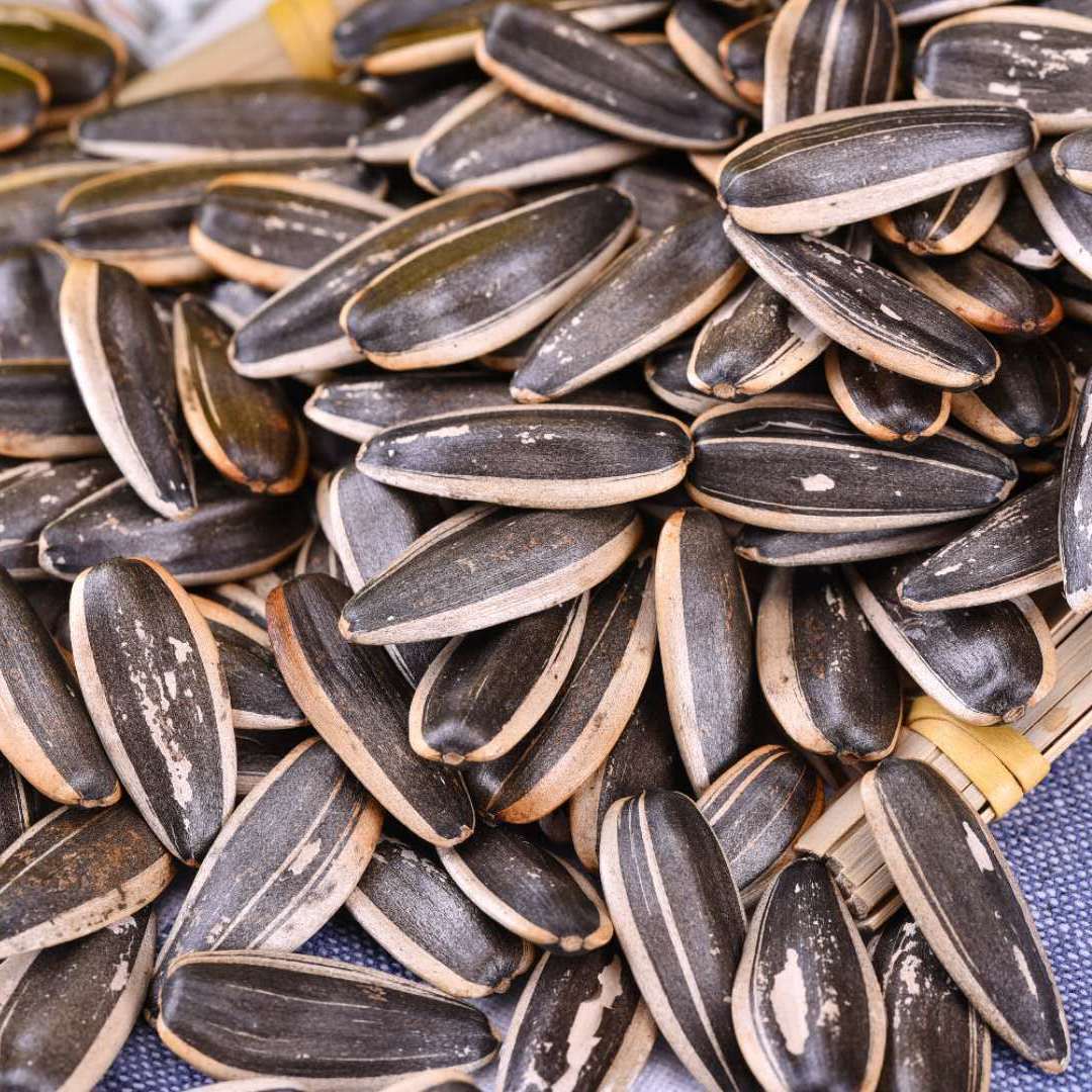 瓜子原味熟葵花籽新货炒熟瓜子葵瓜子香瓜子2斤散装炒货批发零食