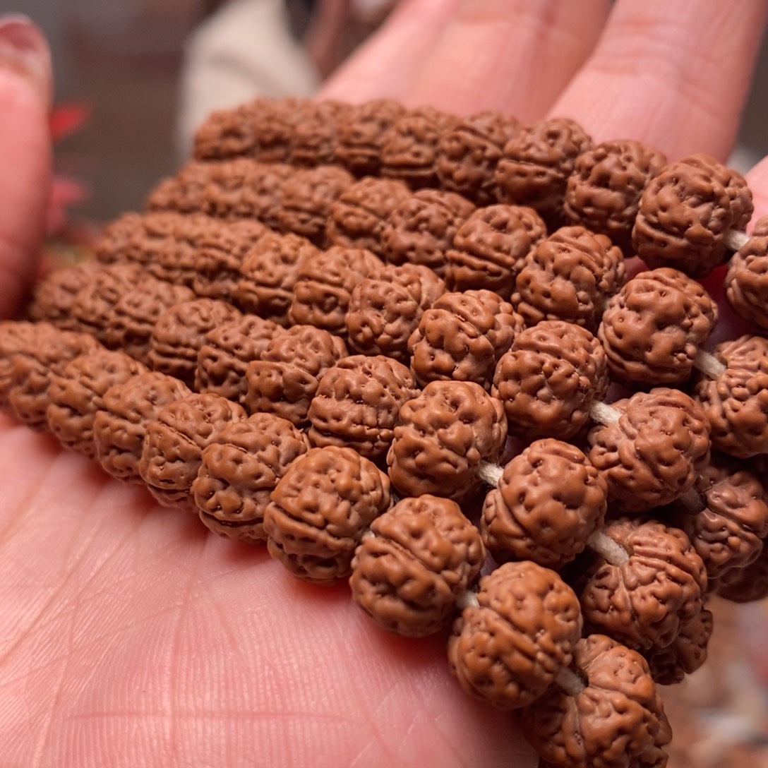 简***单菩提籽类老树王长串