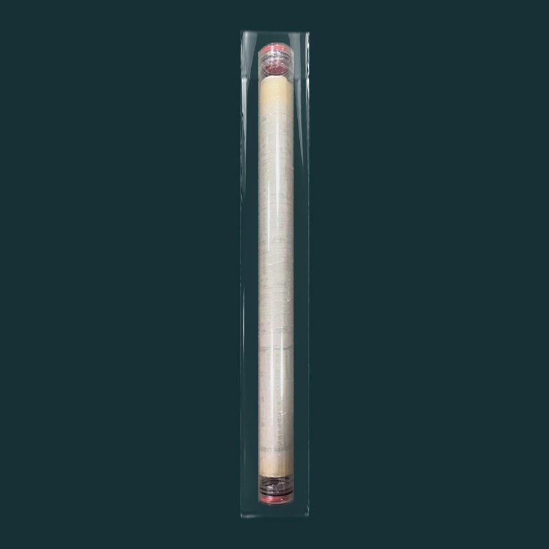 封签大连体（一版） 票证