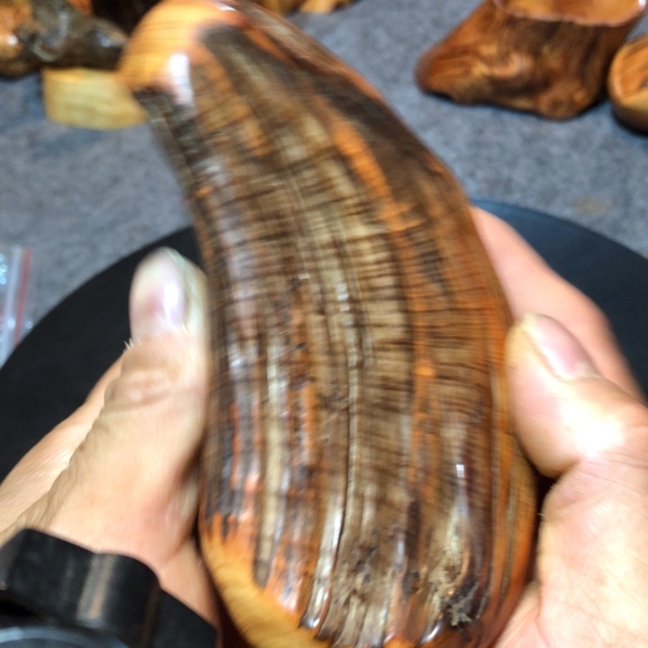 柏木（崖柏）静***界崖柏23