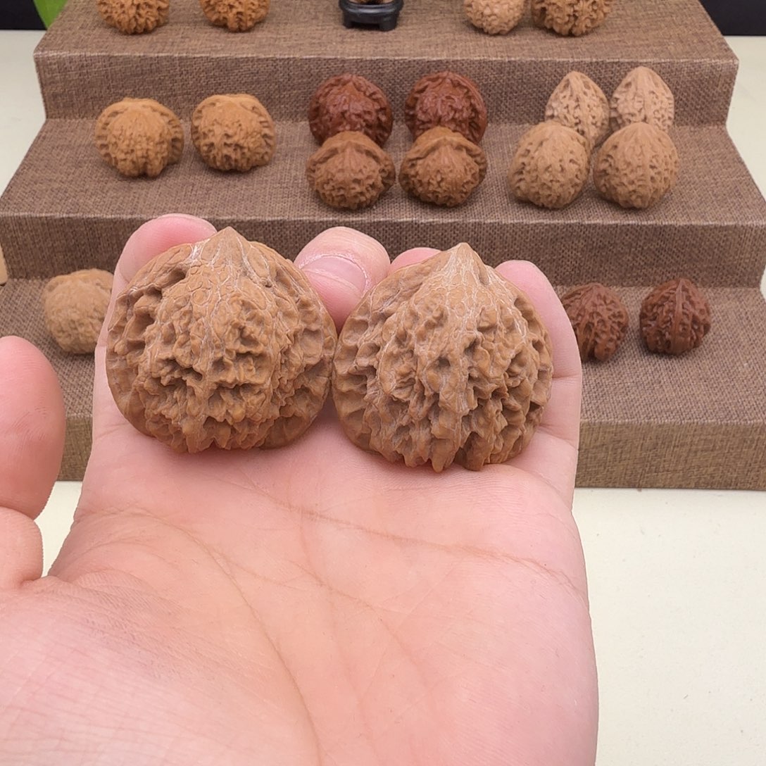 V***l满天星全品38/34/37