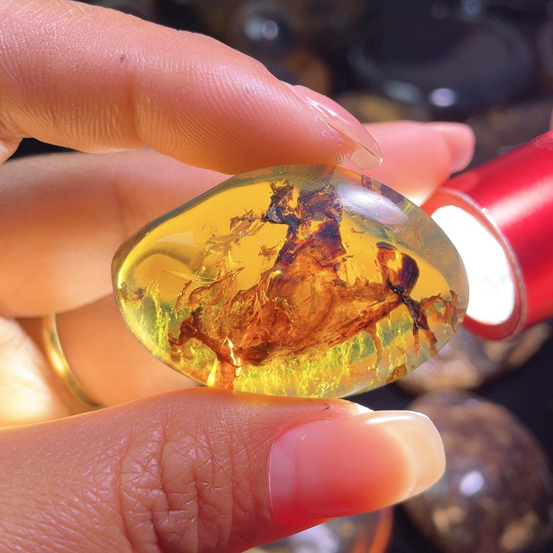 琥珀裸石未镶嵌？