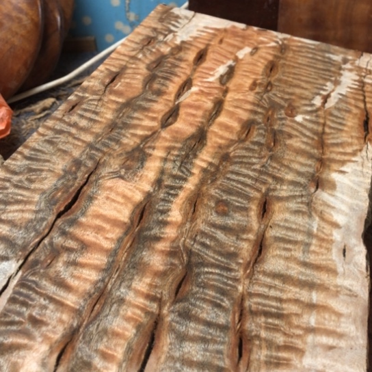 大果紫檀（缅甸花梨）大果紫檀缅甸花梨