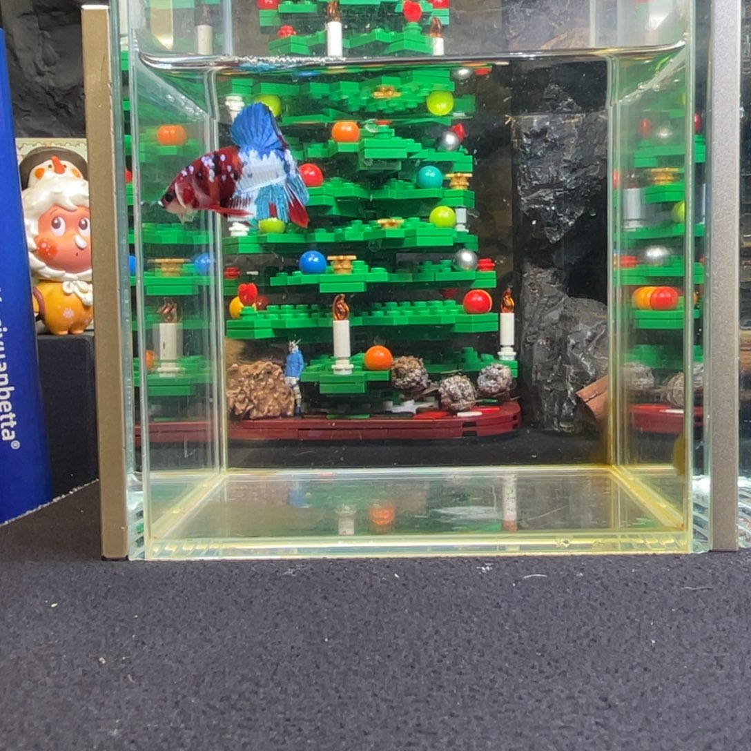 斗鱼十二月二十八日竞价