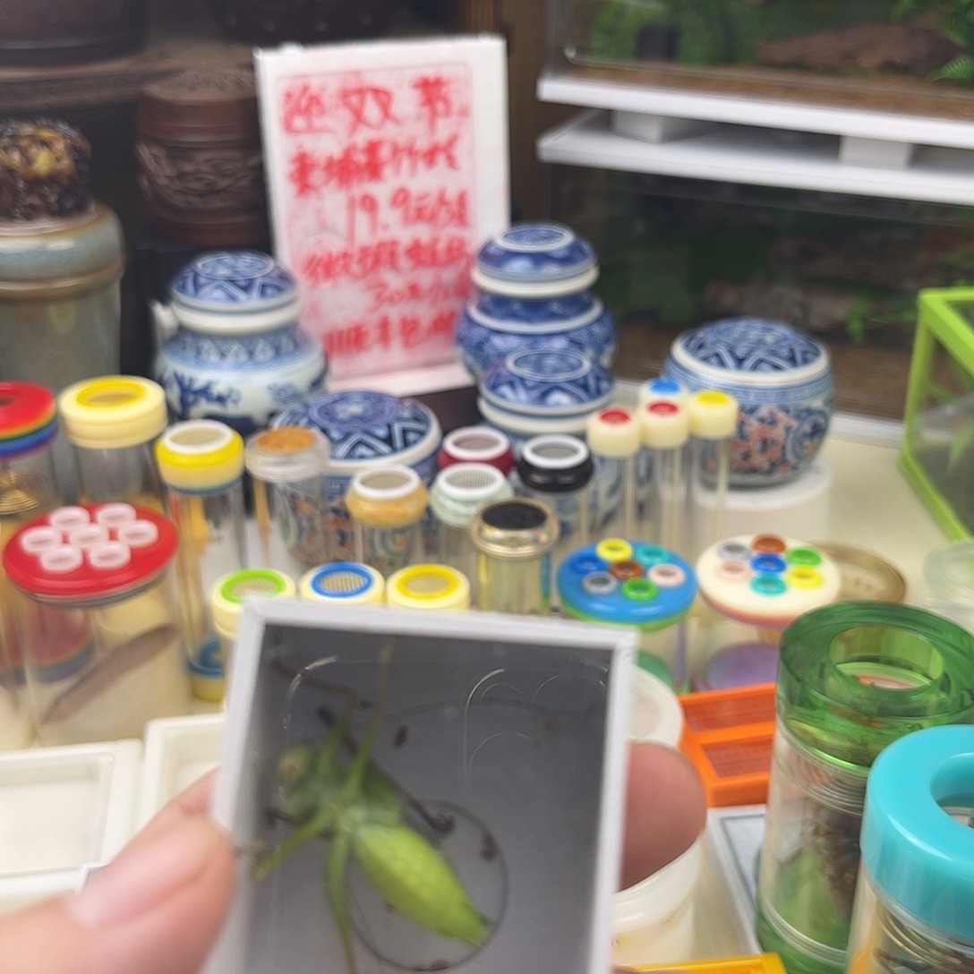 孙***哥一个扎嘴拍拍拍拍