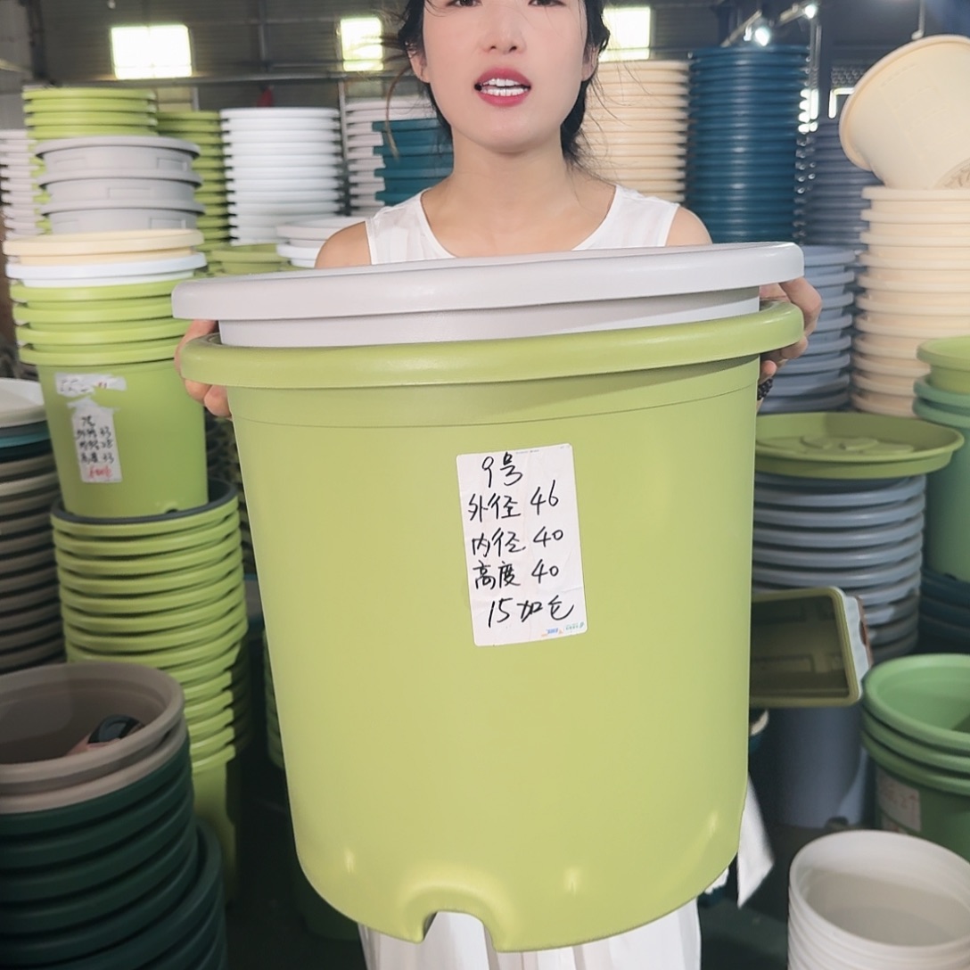 微瑕9#口径46无拖果绿3个