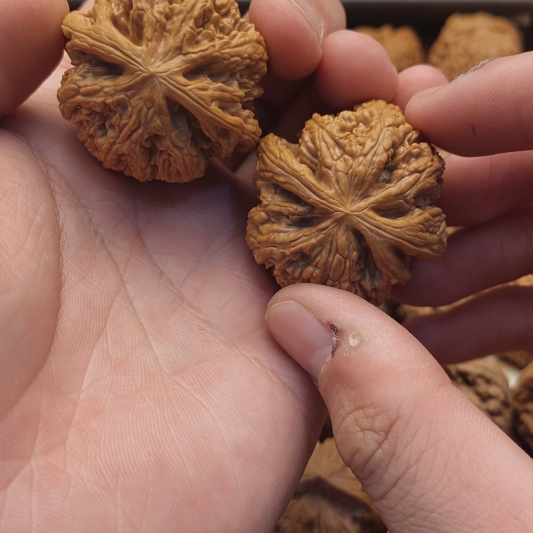 文玩核桃吊坠租金