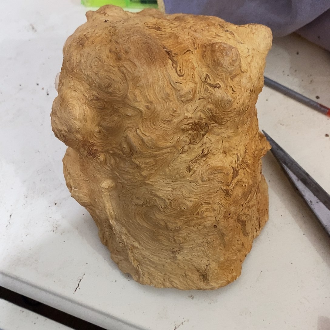 新***业荔枝木荔枝木原料