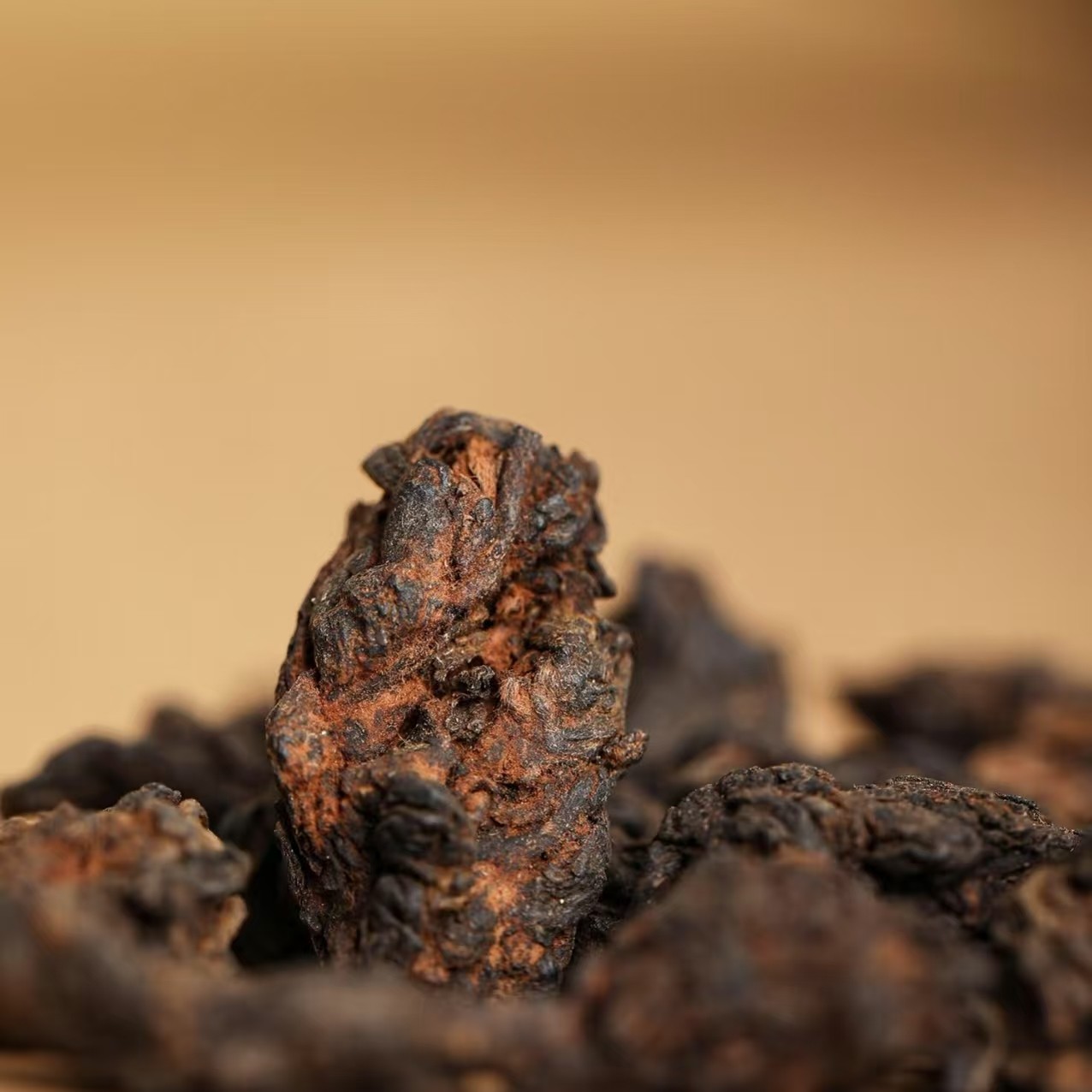 66号-2016年高黎贡山紫芽 普洱熟茶老茶头散料