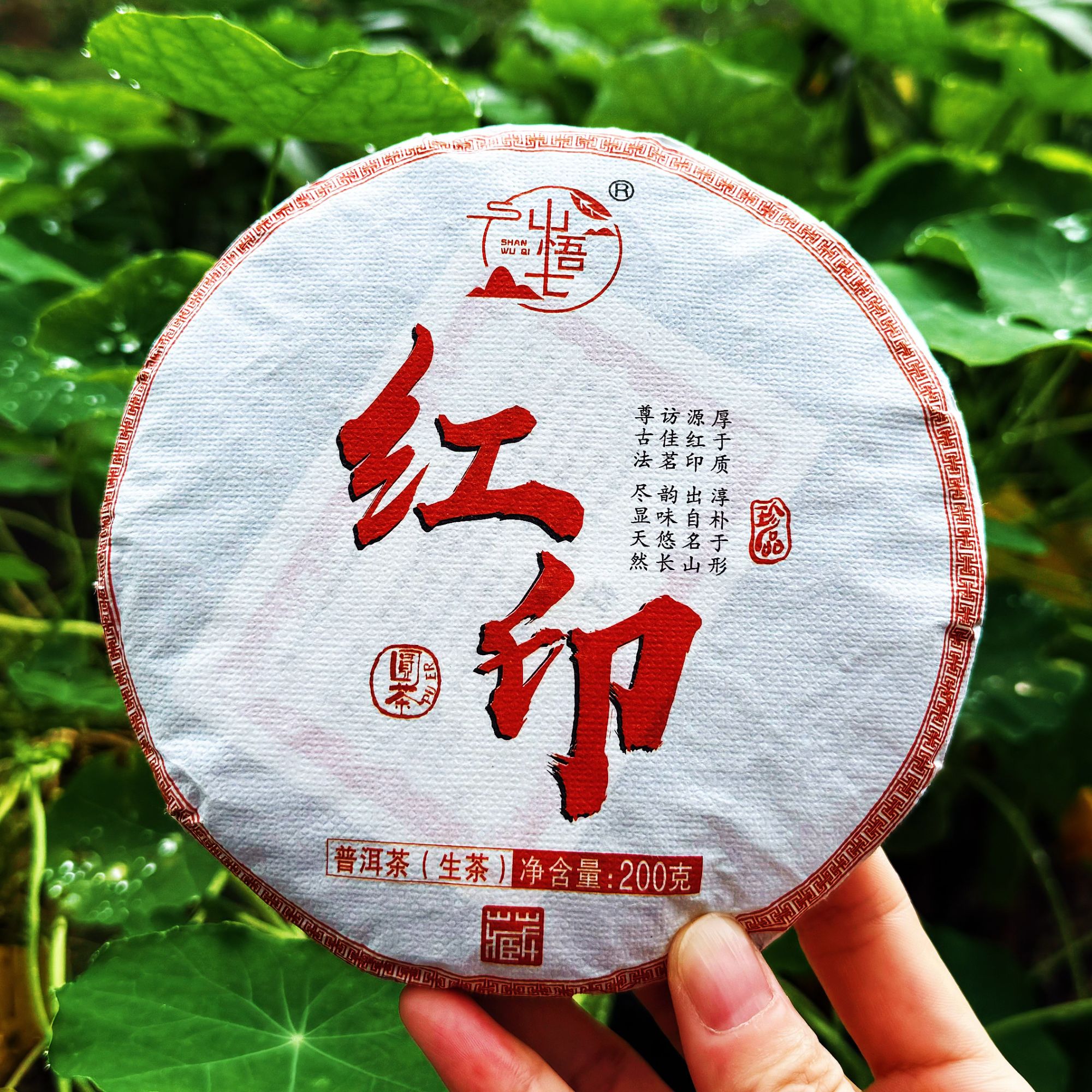 红印清境｜2024头春 哀牢山元阳观音山原生森林普洱生茶紧压饼