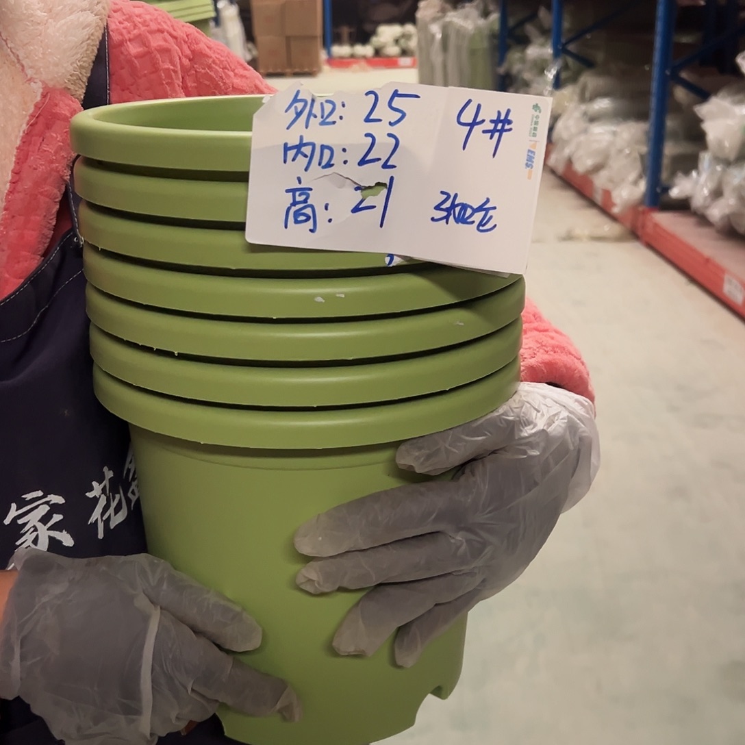 四季盆4#果绿色8个无托