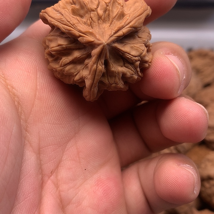 和***鸟文玩核桃吊坠核桃