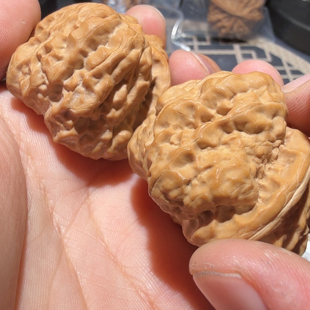 文玩核桃把件金蟾