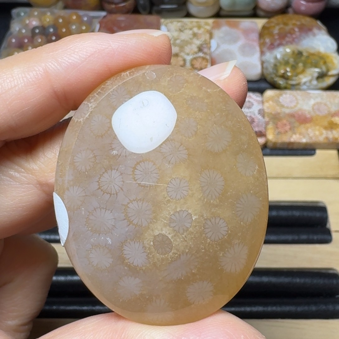 硅化玉浅糖椭圆未镶嵌