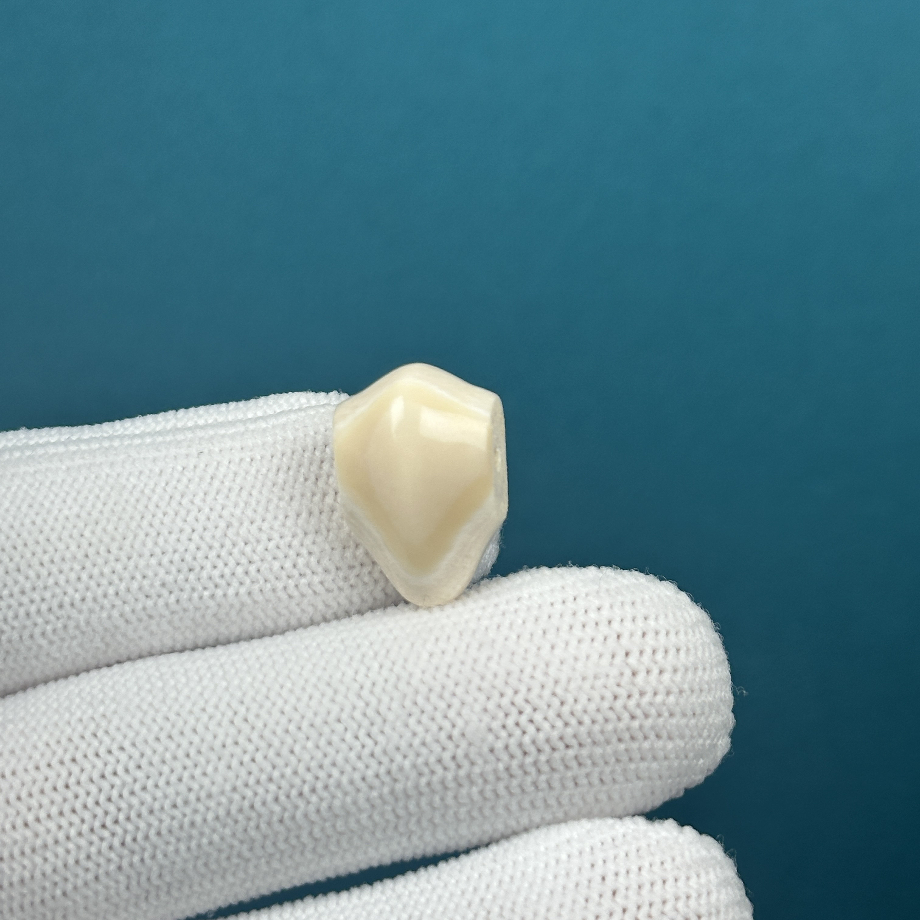 D60-16天然猛犸牙 鲨鱼背三通 11.8*17.8mm一物一图假一罚十