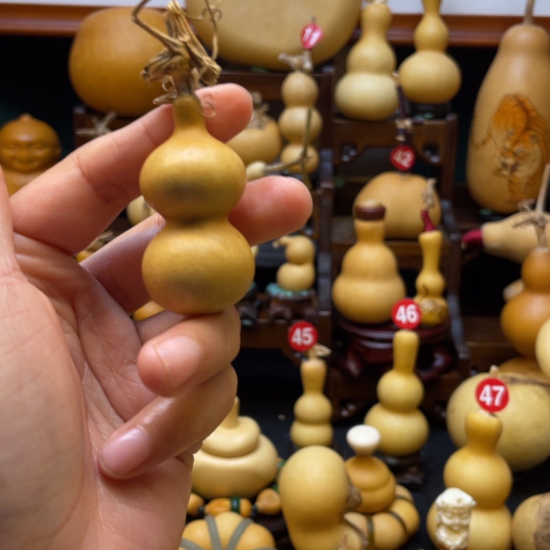 十***铺大自然的秘密第十一节的故事第二章