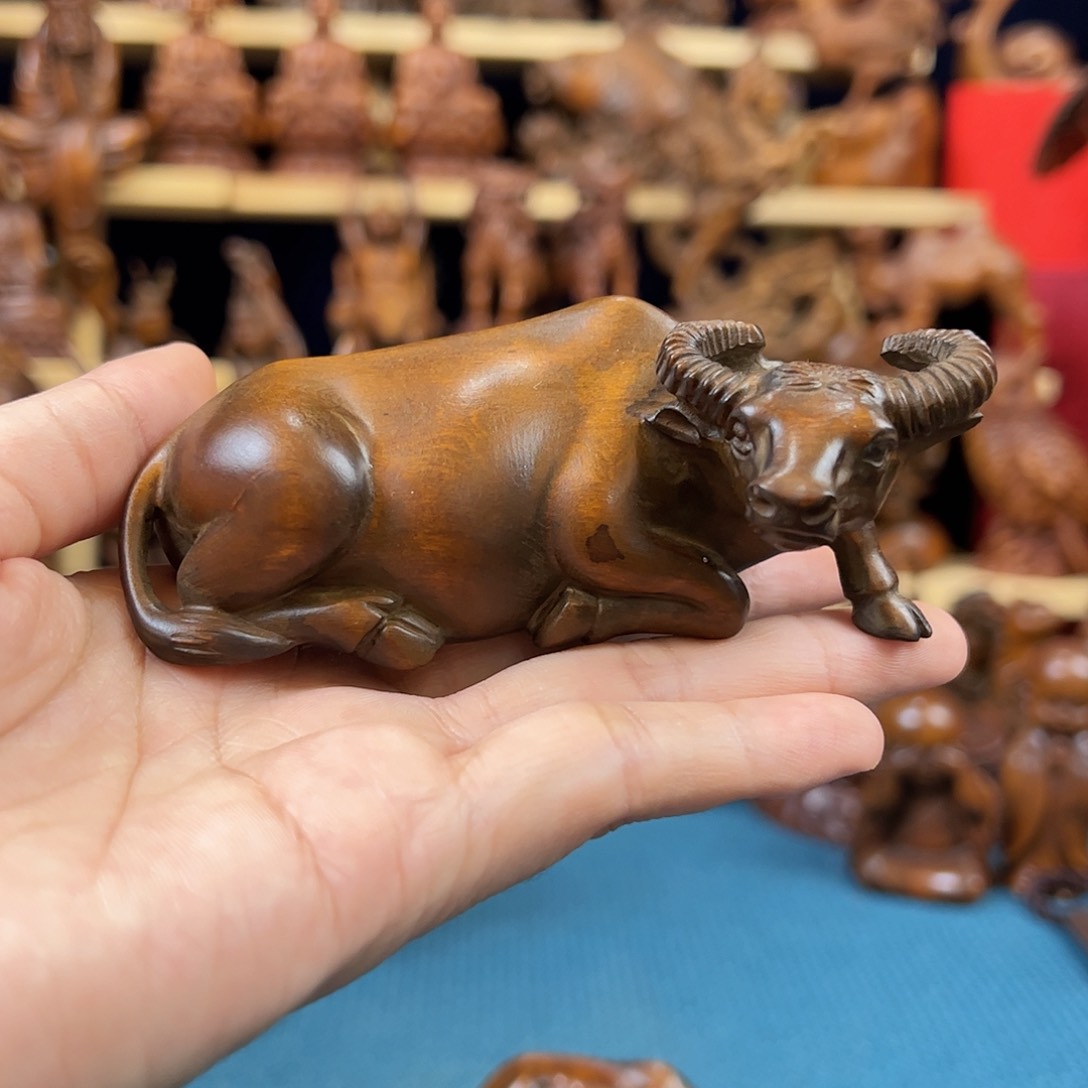 黄杨木小叶黄杨木