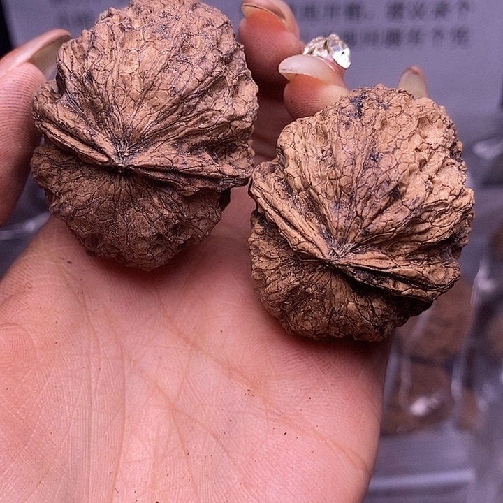 核桃云南野生铁核桃176号45mm