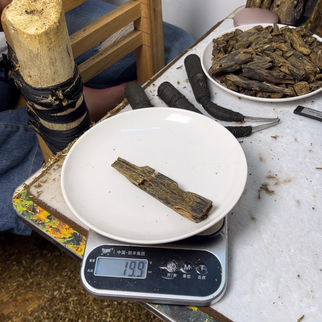 线香奇楠虫漏香19克