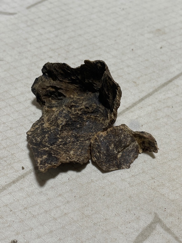 沉香老包头4.6克，天然古树料，清香干净，花香蜜韵。