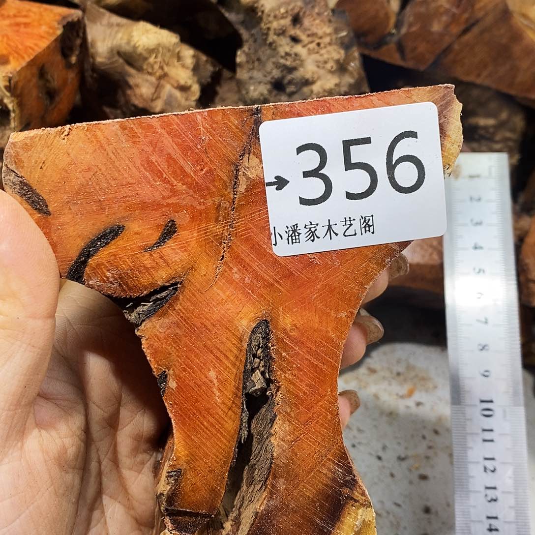 香榧木君*火琉璃……火琉璃