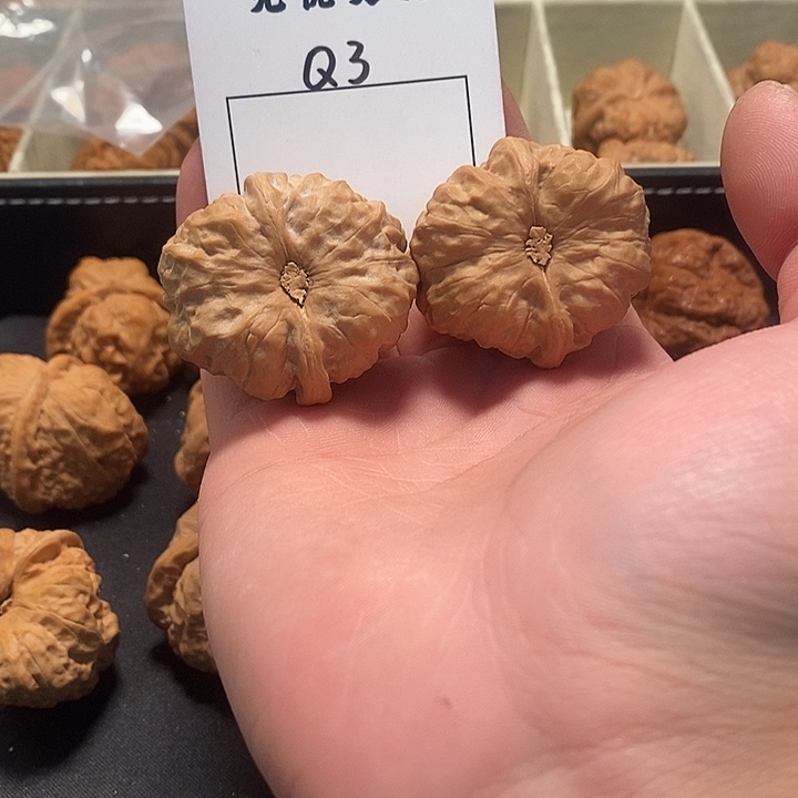 文玩核桃吊坠D****r蛤蟆