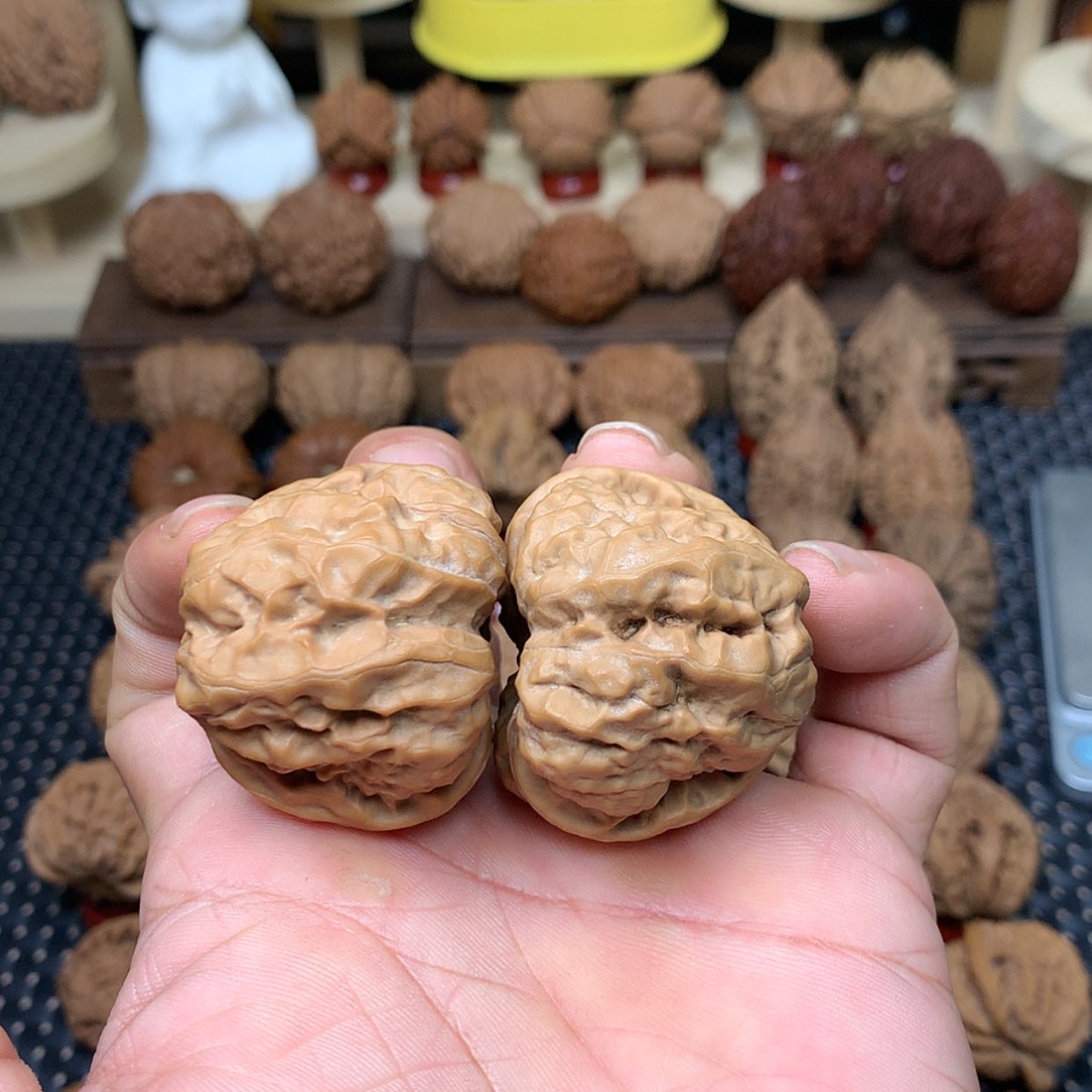 【闪购商品】文玩核桃把件全品蛤蟆头开背41文玩核桃