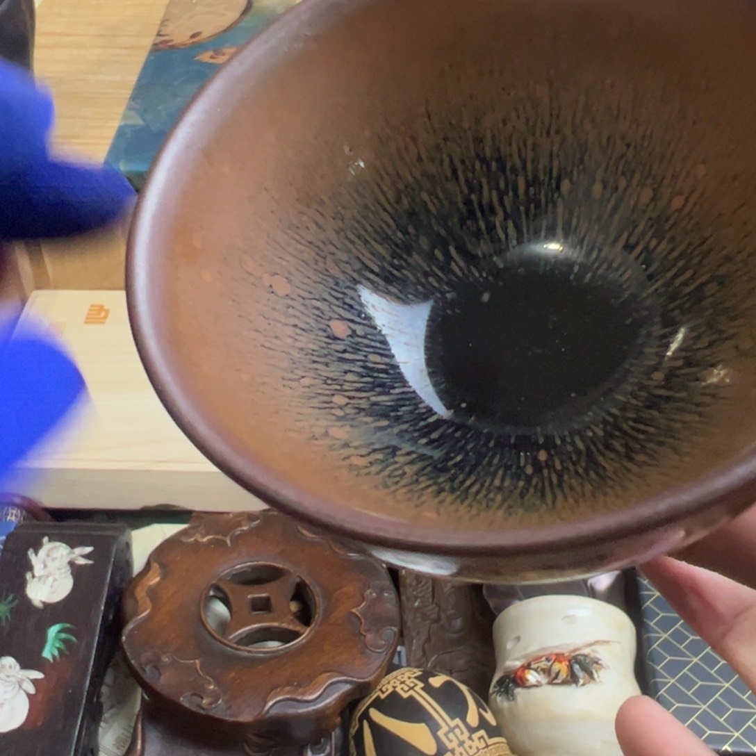 茶宠哈哈哈哈哈哈哈哈哈哈哈哈哈哈