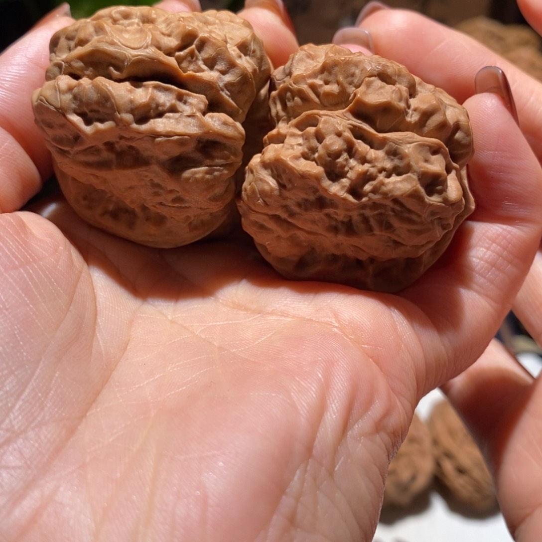 文玩核桃把件行*行蛤蟆头41+/45/36+