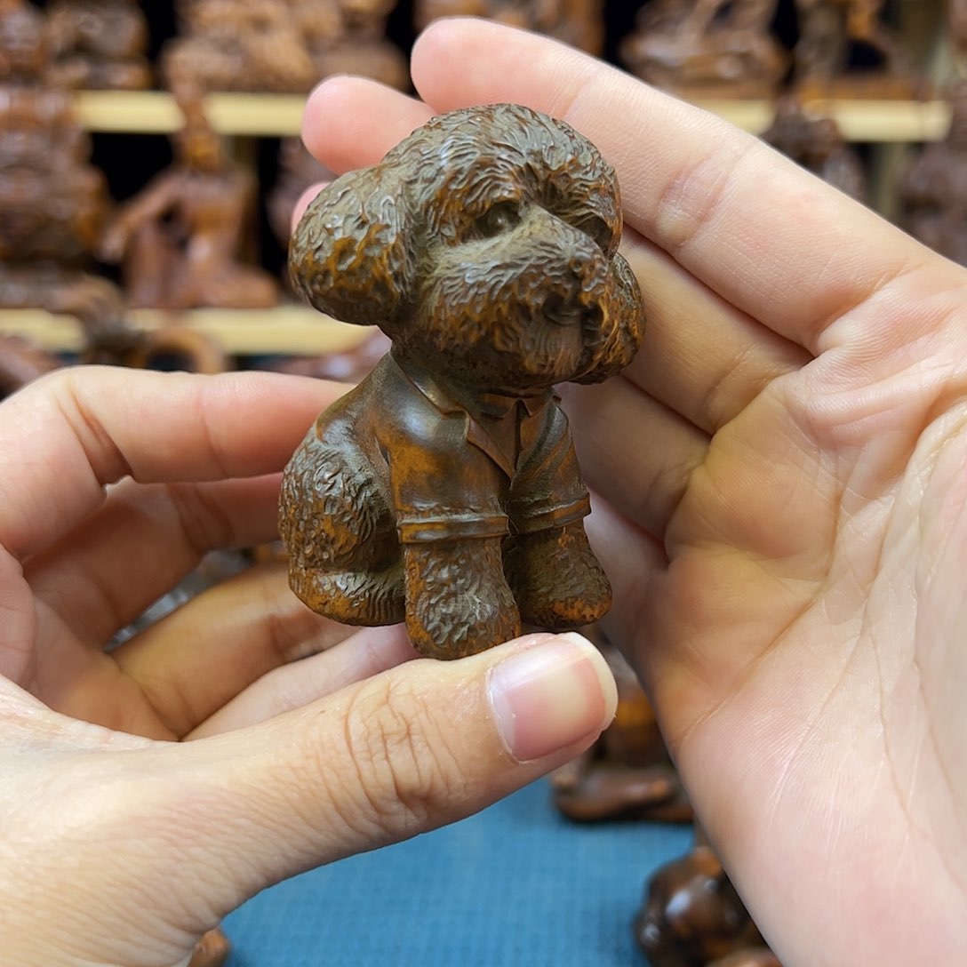 黄杨木小叶黄杨木