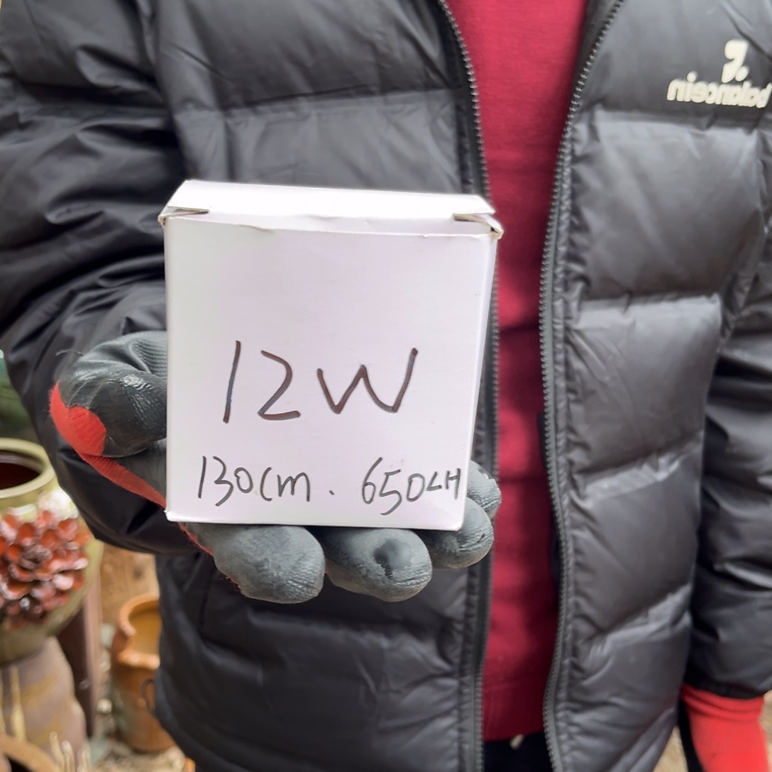 红陶12 W正品正品